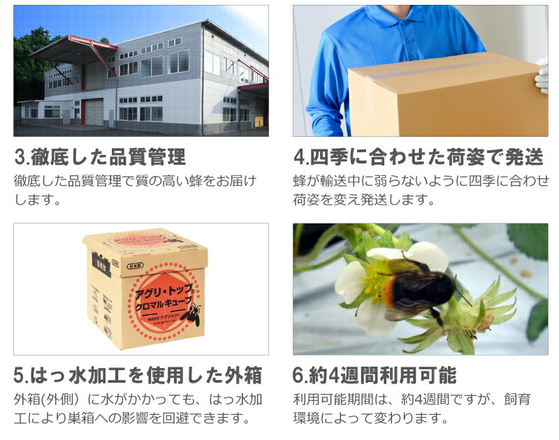 クロマルキューブ受粉用蜂ハチ30頭以上乾燥花粉付巣箱セットアグリセクトタ種代引不可北海道不可要着日指定時間指定不可