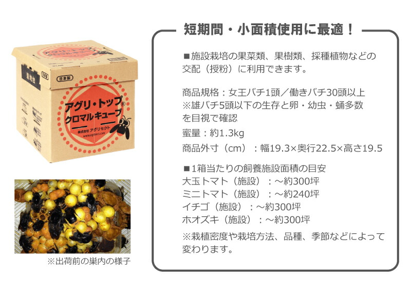 クロマルキューブ受粉用蜂ハチ30頭以上乾燥花粉付巣箱セットアグリセクトタ種代引不可北海道不可要着日指定時間指定不可