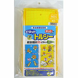 1等最大限度100％尖んがりうしろ側社会的運動6月も為し終える！