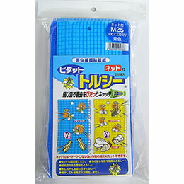 1等最大限度100％尖んがりうしろ側社会的運動6月も為し終える！
