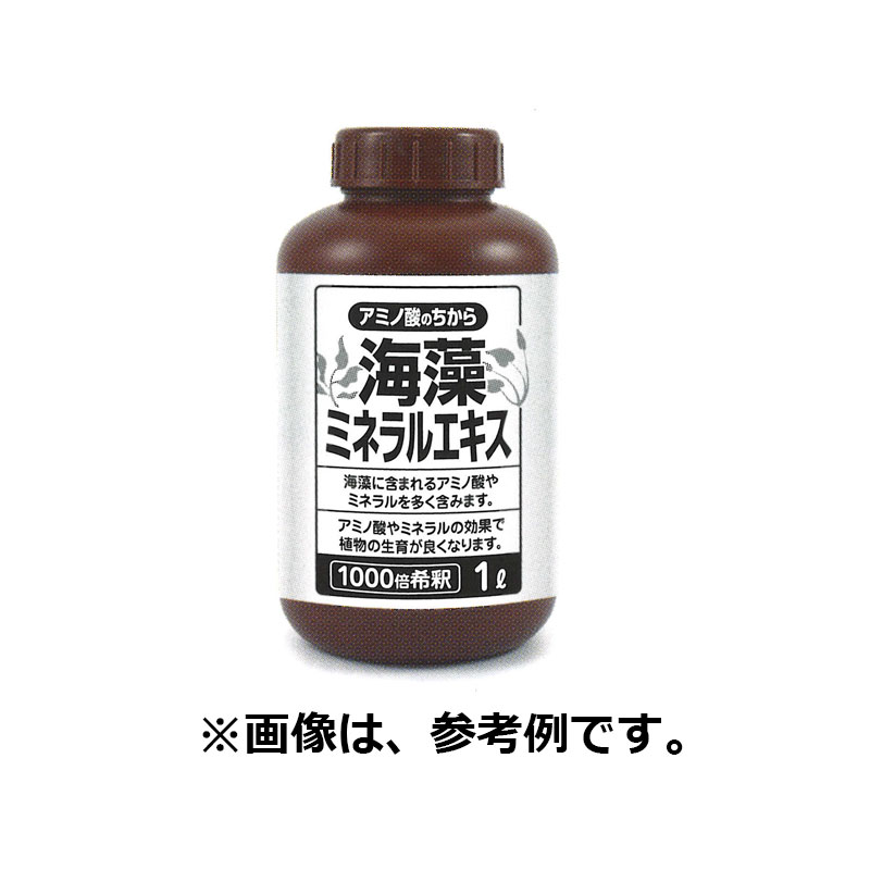 個人宅配送不可 海藻ミネラルエキス 1Ｌ 活力液 花ごころ タ種 代引不可 日本に