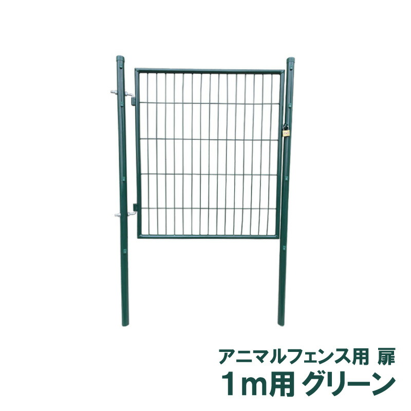 1等最大限度100％尖んがりうしろ側社会的運動6月も執り行なう！