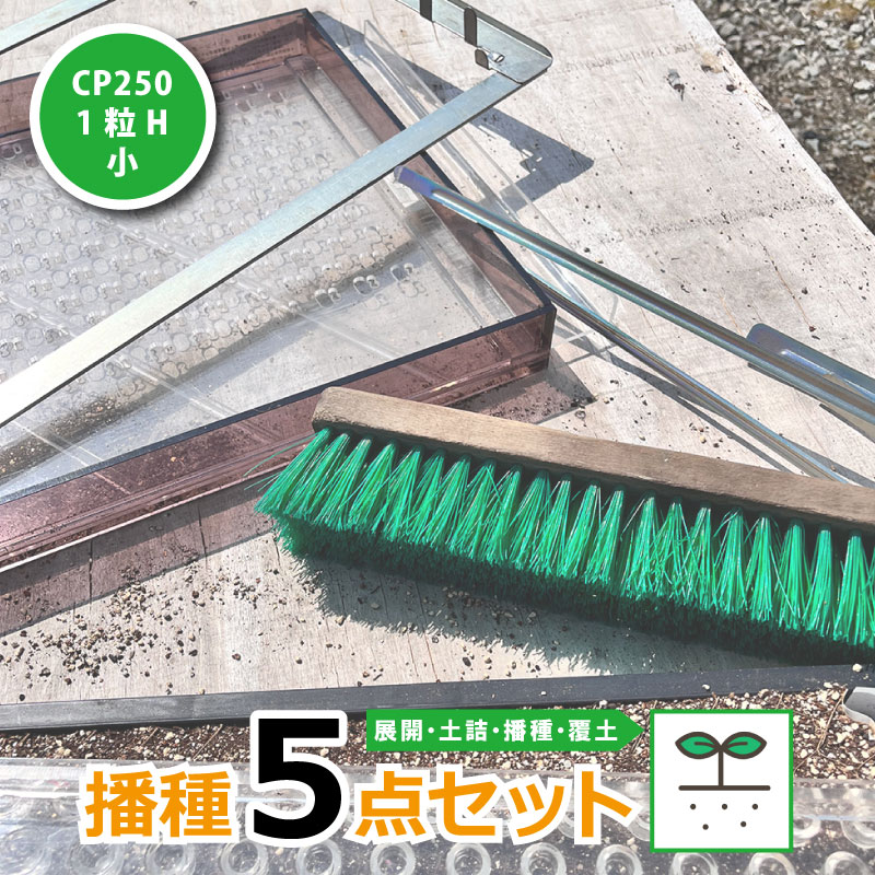 【4/30までエントリーで最大100%Pバック】播種5点セット CP250 1粒H-小 チェーンポット用 展開串 土詰ブラシ 展開枠 ポットプレート ポットシーダー 播種セット 種まき ニッテン 日本甜菜製糖 タS D