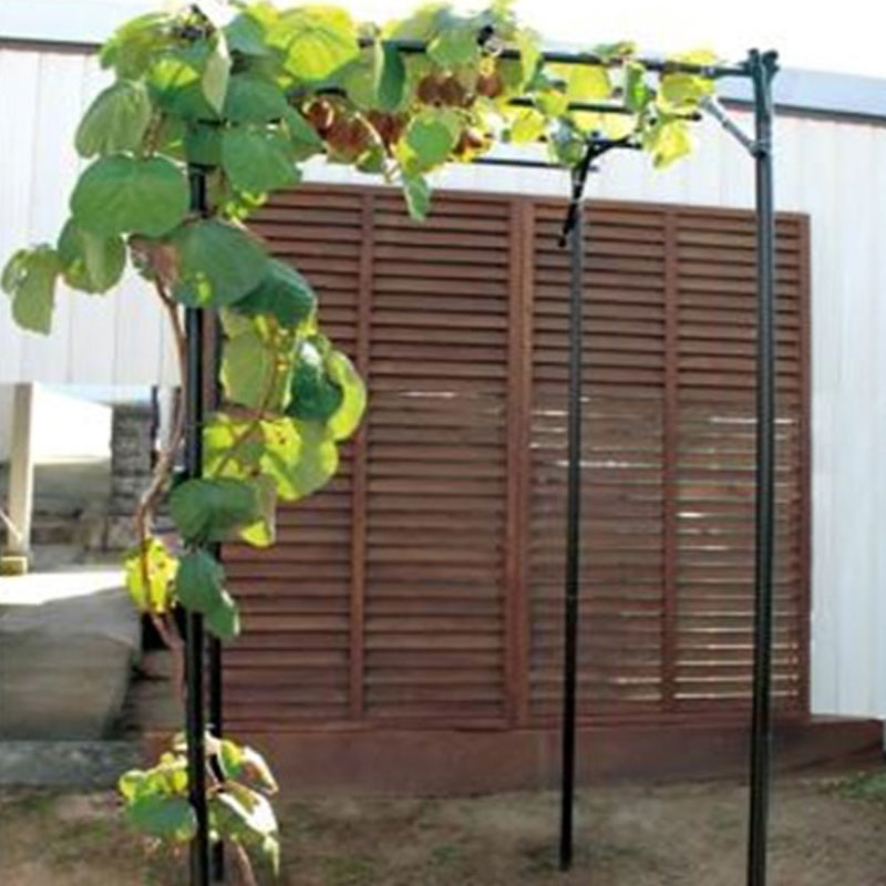 楽天市場】【クーポンで最大3,000円OFF】daim くだもの棚セット KT-S