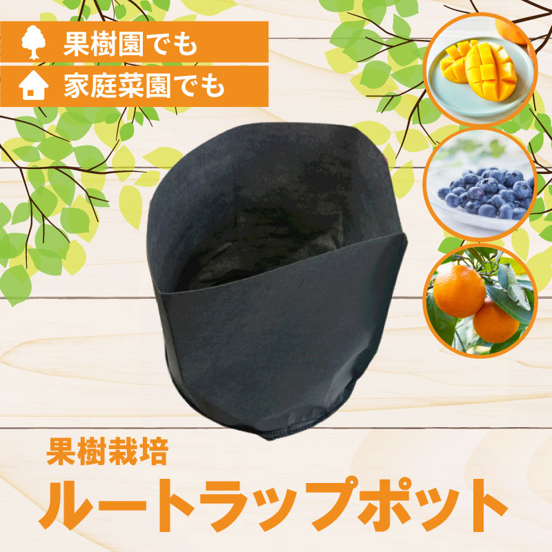 ルートラップ