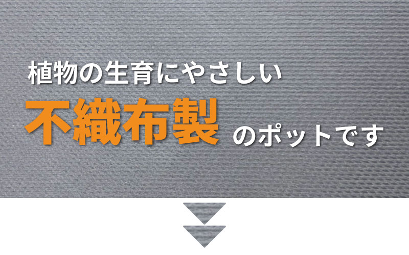 ルートラップ