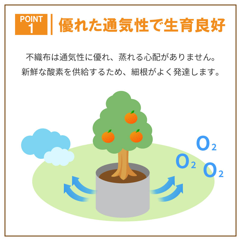 ルートラップ