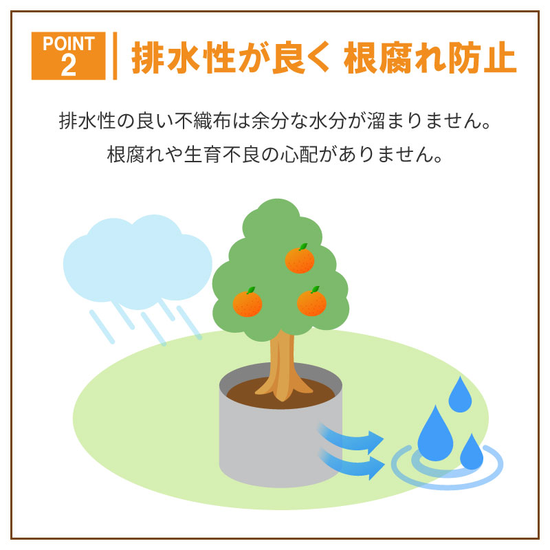 ルートラップ