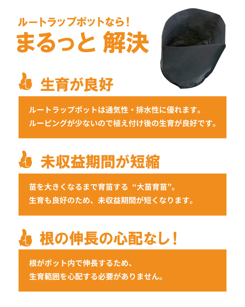 50枚 ルートラップ ポット 10A 10号 直径 28cm × 高さ 30cm 容量 15L 不織布 ポット ルートラップポット 根域制限 防根  遮根 透水 ハセガワ工業 代引不可 農業資材