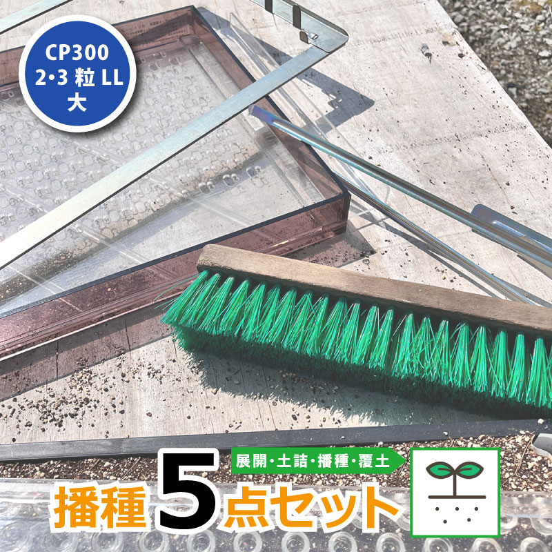 1等最大限度100％尖んがりうしろ側社会的運動6月も為し終える！