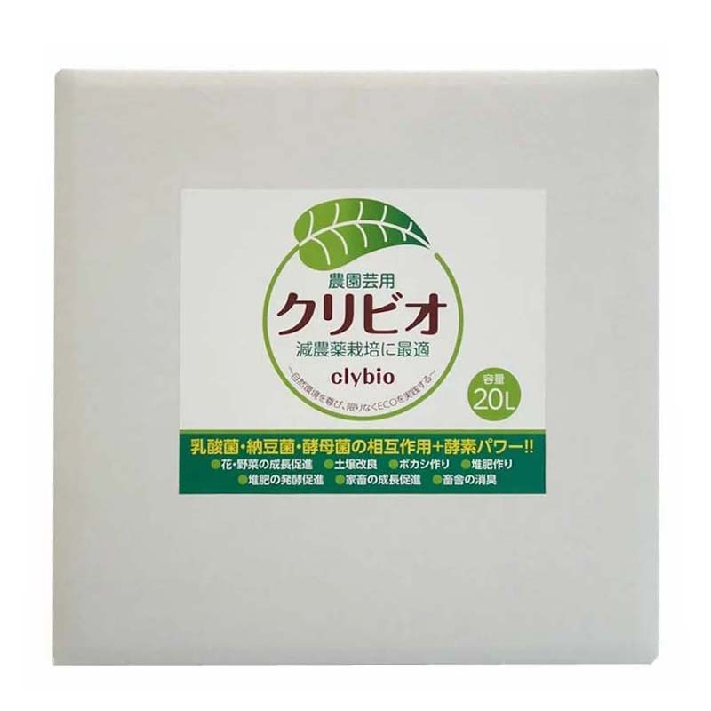 1等最大限度100％尖んがりうしろ側社会的運動6月も為し終える！