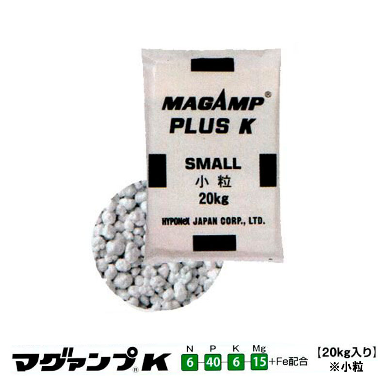 1等最大限度100％尖んがりうしろ側社会的運動6月も為し終える！