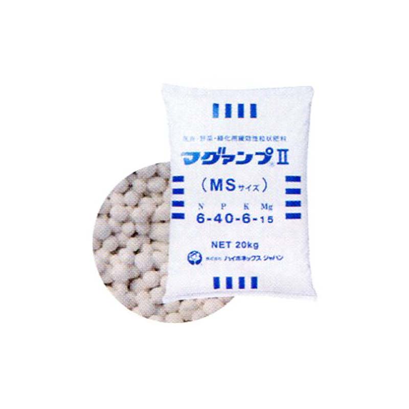 1等最大限度100％尖んがりうしろ側社会的運動6月も遣り遂げる！
