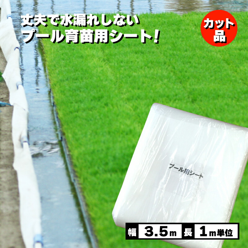 在庫処分　カルネッコ　198枚入　苗箱シート 楽天市場】カルネッコ 100枚入 (シート 農業資材 不織布 家庭