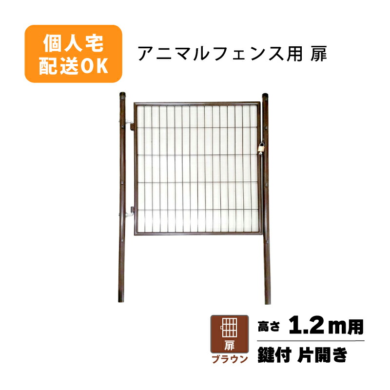 1等最大限度100％尖んがりうしろ側社会的運動6月も為し終える！