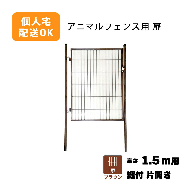 1等最大限度100％尖んがりうしろ側社会的運動6月も為し終える！