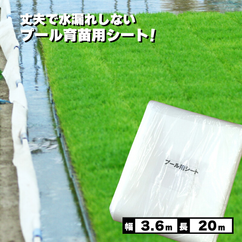 1等最大限度100％尖んがりうしろ側社会的運動6月も為し終える！