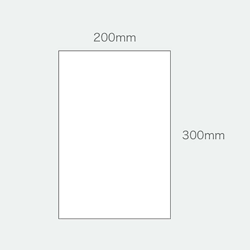 6000枚生き生きパック無地規格袋#2011号4穴200mm×300mm青果物穴4防曇袋タキイ種苗タ種北海道配送不可個人宅配送不可代引不可
