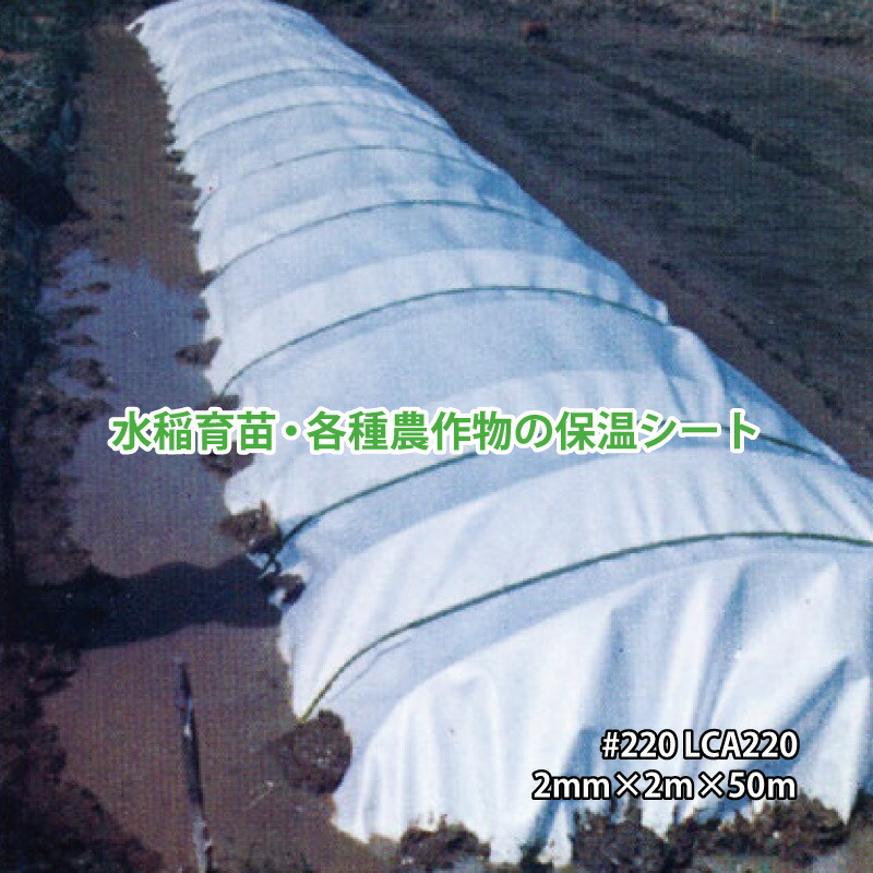 【4/30までエントリーで最大100%Pバック】農業用 ミラマット #220 2mm×2m×50m 高発泡PEシート JSP カ施 個人宅配送不可 代引不可