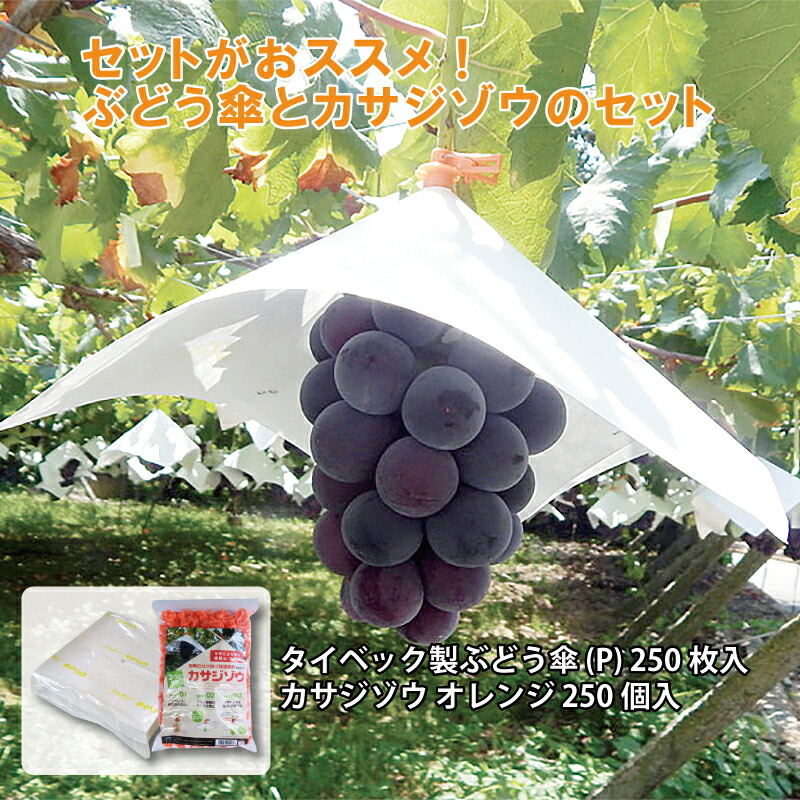 【7/1～最大100%Pバック抽選で要エントリー】2点セット タイベック製 ぶどう傘 (P) 27cm&times;27cm 250枚入 と オレンジ カサジゾウ 250個 高温障害 スリップス 晩腐病対策 ジベ処理目印 ブドウ ぶどう タイベック タS DZ｜農業用品販売のプラスワイズ