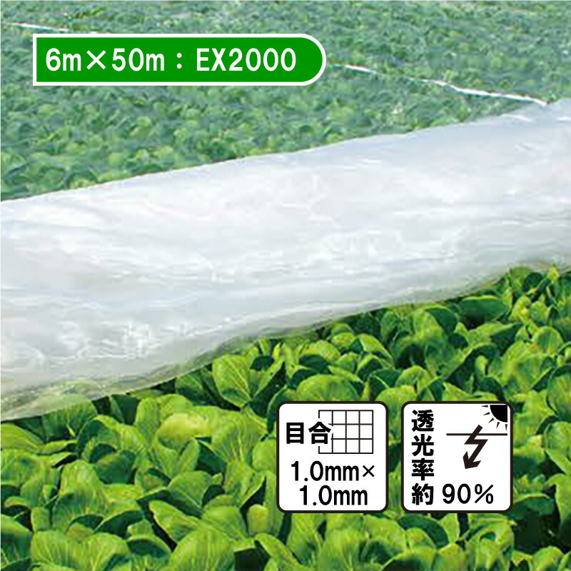 【7/1～最大100%Pバック抽選で要エントリー】6m&times;50m ベタ掛け 防虫サンサンネット EX2000 台風対策 ゲリラ豪雨対策 防虫 防鳥 日本ワイドクロス カ施 個人宅配送不可 代引不可｜農業用品販売のプラスワイズ