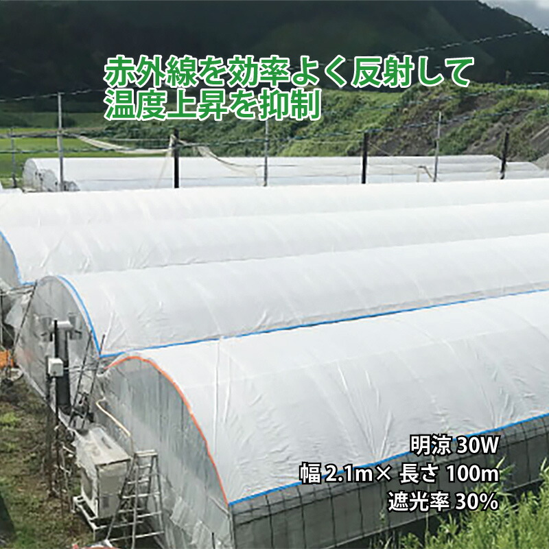 楽天市場】ハウス用シート ワリフ 明涼 30W 幅1m 長さ100m 遮光