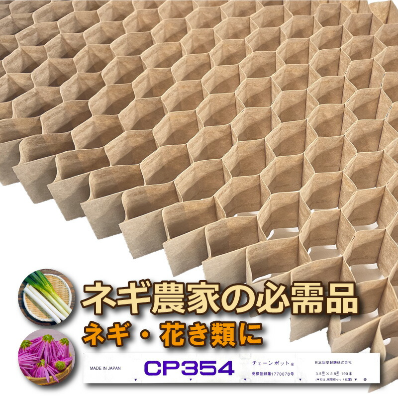 1等最大限度100％尖んがりうしろ側社会的運動6月も遣り遂げる！