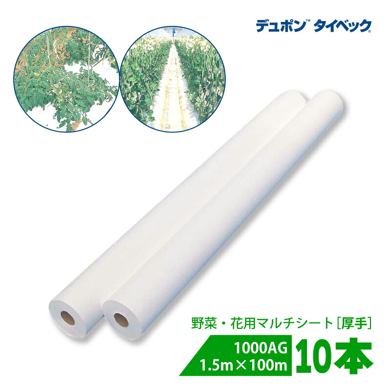 【4/30までエントリーで最大100%Pバック】10本 タイベック マルチ 1000AG (厚手) 1.5m×100m 白 農業用 野菜 フルーツ 花卉 遮熱性 通気性 透湿性 アザミウマ対策 農業資材 カ施 個人宅配送不可 代引不可 230,087円