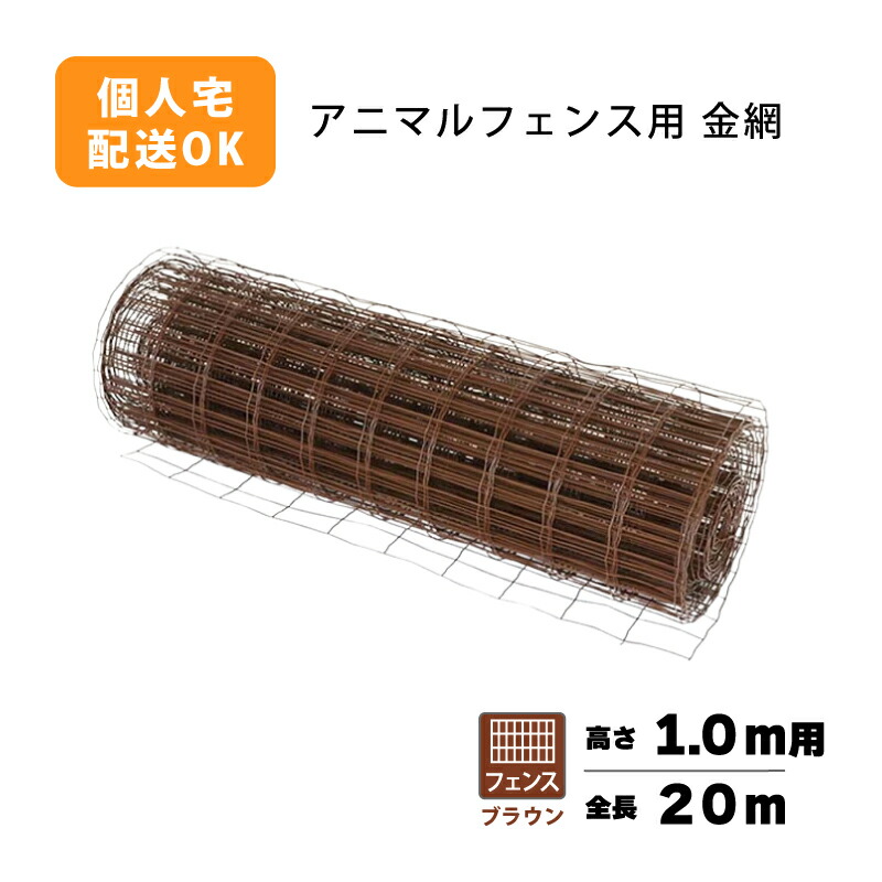 1等最大限度100％尖んがりうしろ側社会的運動6月も為し終える！