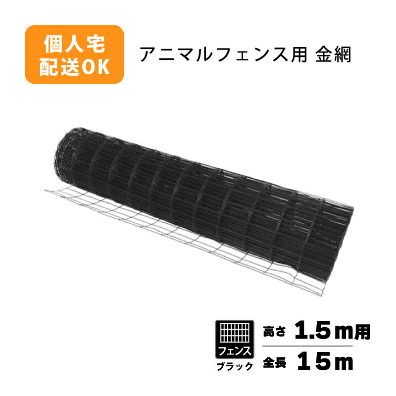 1等最大限度100％尖んがりうしろ側社会的運動6月も為し終える！