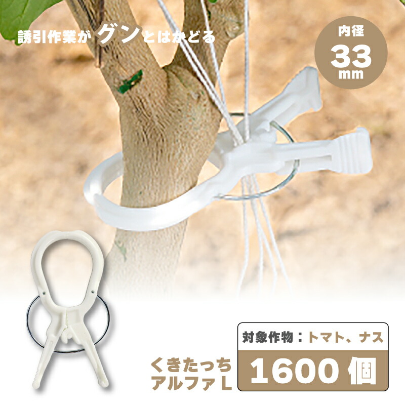 kuki_60189_1.jpg