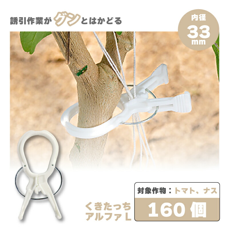 楽天市場】2000個 (200個×10袋) くきたっちアルファ 細紐用