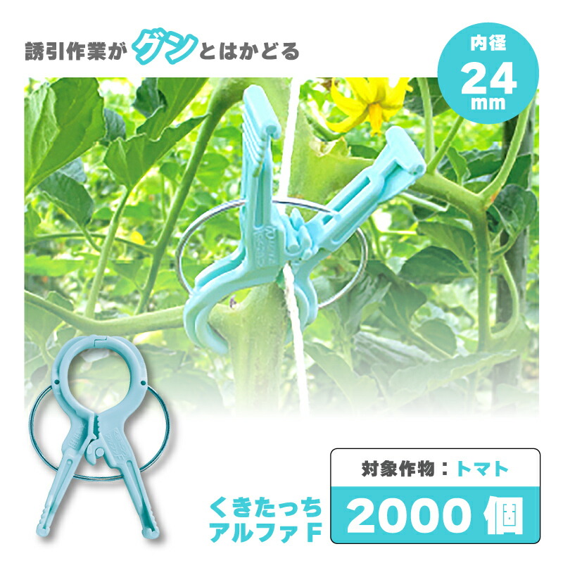 楽天市場】2000個 (200個×10袋) くきたっちアルファ 細紐用 楽天市場】2000個 (200個×10袋) くきたっちアルファ 細紐用