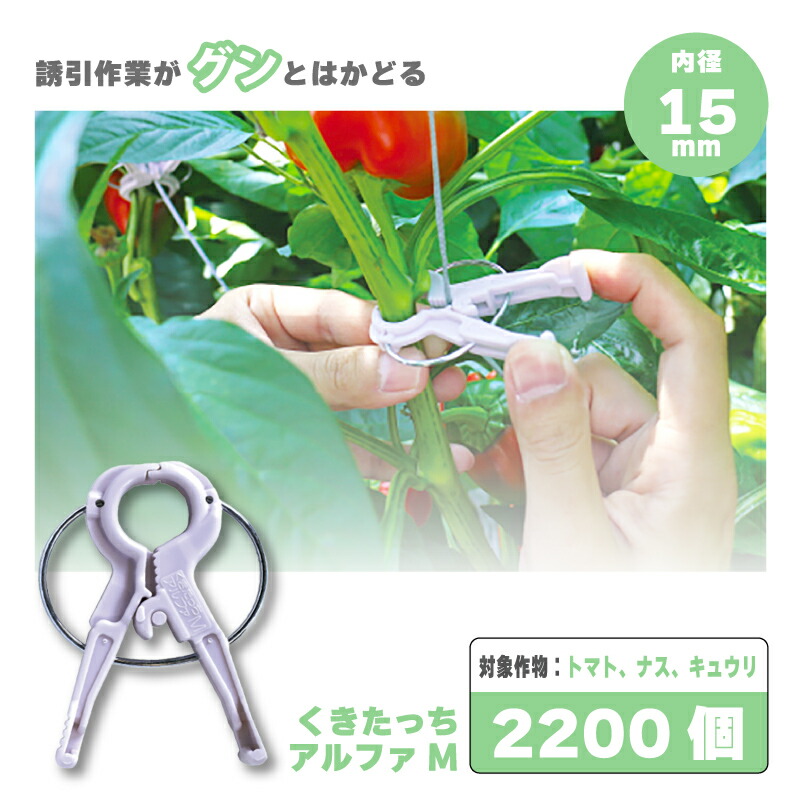 楽天市場】2000個 (200個×10袋) くきたっちアルファ 細紐用
