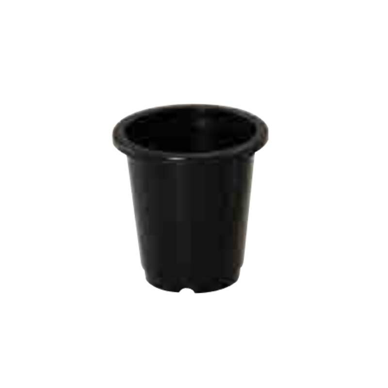 人気ショップが最安値挑戦 195個 1255 プラスチックポット Mlシリーズ Ml 5 5寸 黒 外径160mm 高さ180mm 鉢 明和 明w 代引不可 特売 Lexusoman Com
