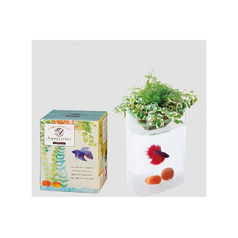 超特価 個人宅配送不可 8個 アクアテリア ベタ用 Bp P110 水槽セット 900ml アクアリウム 観賞魚 ハイドロカルチャー 水作 カ園 代引不可 Cmdb Md