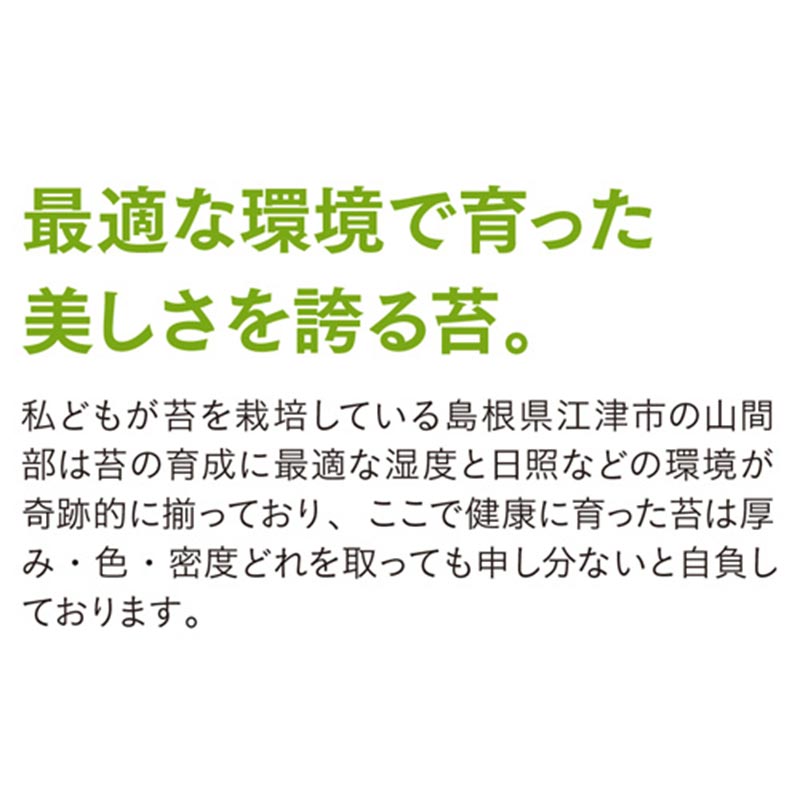 国産杉苔300×600mm10トレー庭園材苔盆栽盆景アクアテラリウム装飾資材5〜20cm日陰湿気天然スギゴケ苔石H送料無料代引不可