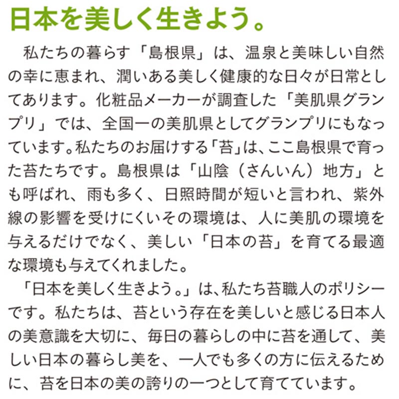 国産杉苔300×600mm10トレー庭園材苔盆栽盆景アクアテラリウム装飾資材5〜20cm日陰湿気天然スギゴケ苔石H送料無料代引不可