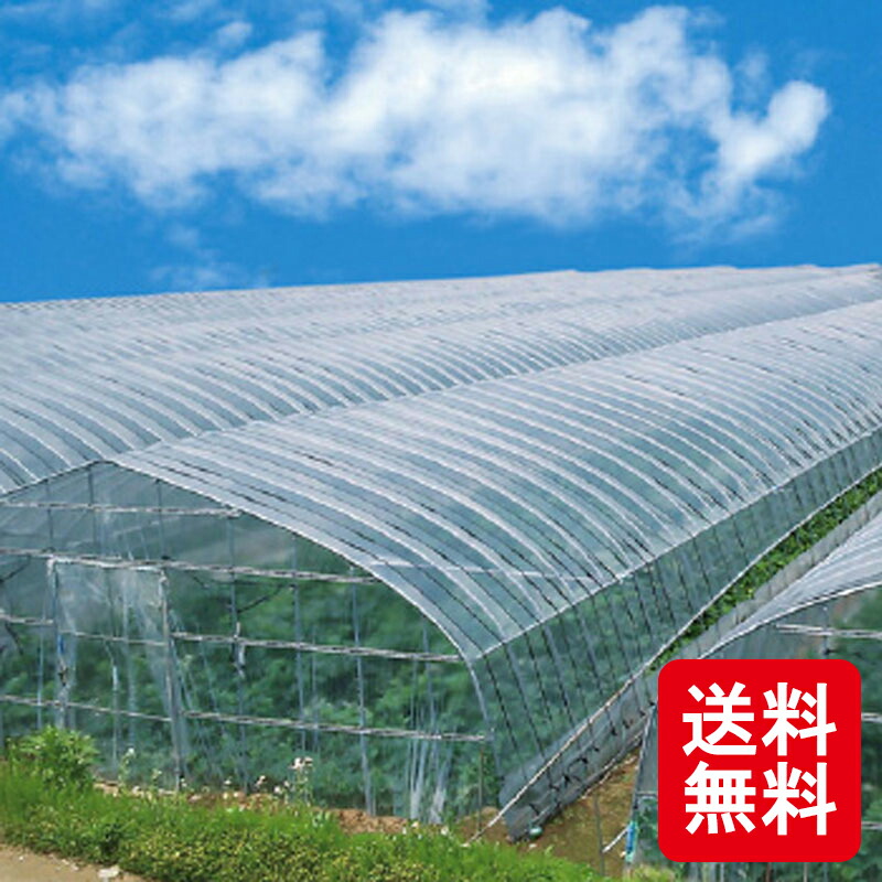 個人宅配送不可 超天 農ビ 厚さ 0.15mm ×幅 230cm ×長さ 100m ビニールハウス アキレス カ施 代引不可 人気ブレゼント!