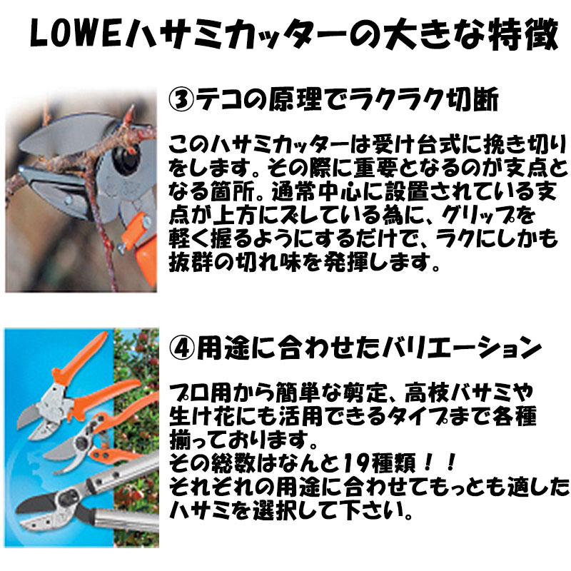 メール軽らか Lowe 唐獅子 切り払うはさみ Ls5127 向こう見ず つわもの ドイツ起源 鯔背 ハサミ 三冨d 送料無料 ネコポス Cannes Encheres Com