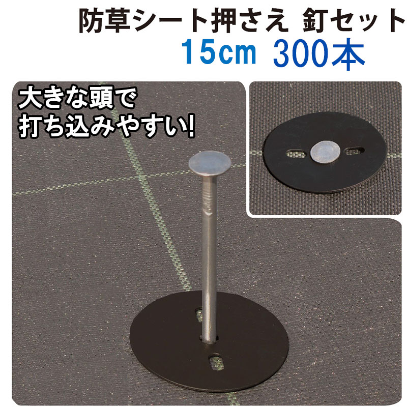 さくさくぱんだ様確認用 さくさくぱんだ様確認用