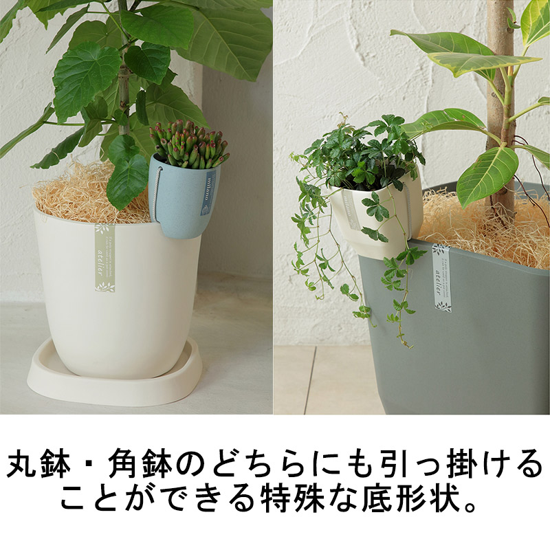 個人宅配送不可120個トッピングPOT2.5寸用ダークグレーアップルウェア—apple直径89×97インナーポットおしゃれ黒鉢ポットタ種送料無料代引不可