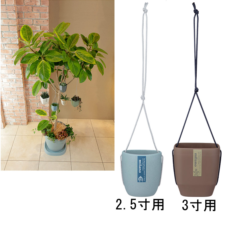 個人宅配送不可120個トッピングPOT2.5寸用ダークグレーアップルウェア—apple直径89×97インナーポットおしゃれ黒鉢ポットタ種送料無料代引不可