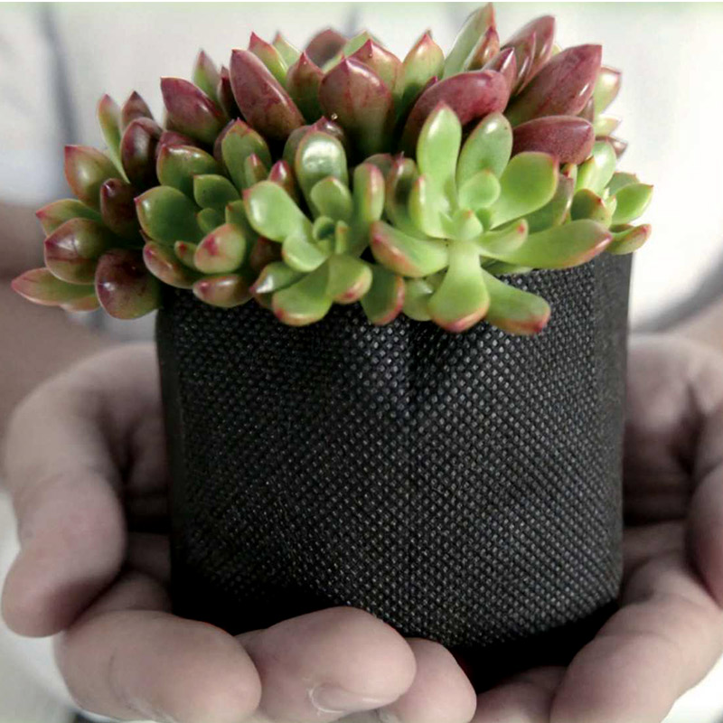 楽天市場 個人宅配送不可 4000個 ボタニカルポット 105 ブラック 日本ポリ鉢販売 105 90 Botanical Pot 鉢 不織布 エコ 植物由来 タ種 送料無料 代引不可 プラスワイズ業者用専門店