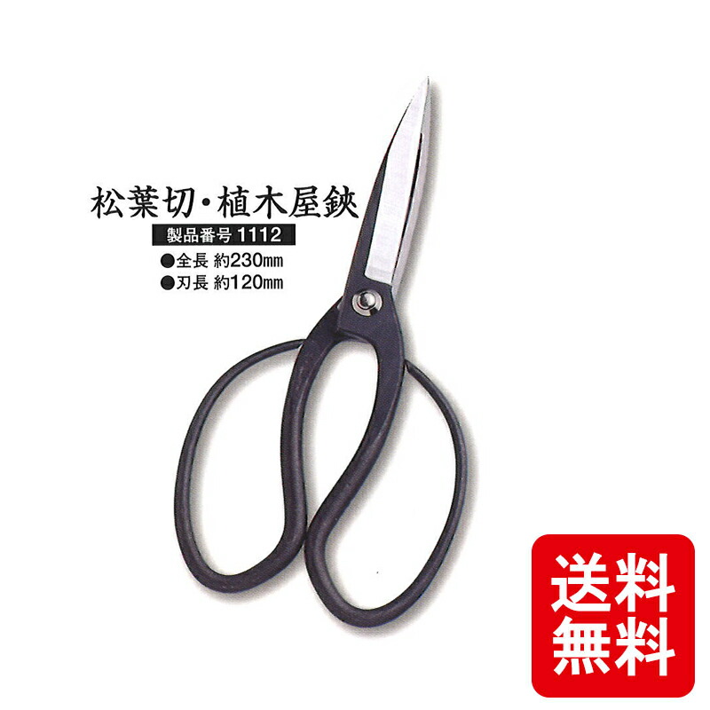 未使用品 ５個セット 源造 大久保鋏 ステンレス鋼 剪定鋏 SUPER-8 楽天市場】メール便 大久保鋏 越乃興三 ステンレス 鋼付 1001