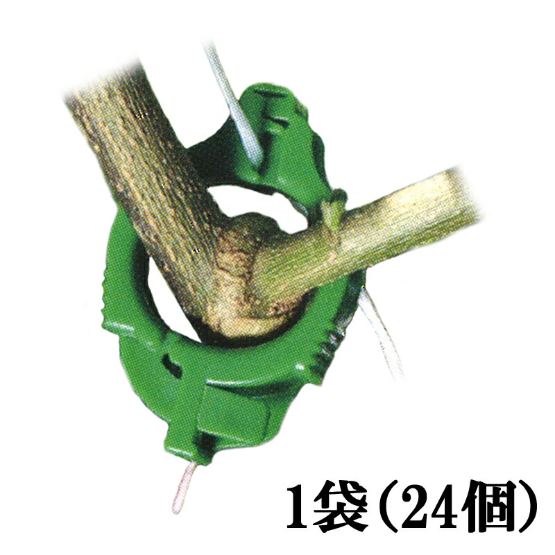 格安人気 ライトキャッチ 緑 Lc G24 24個 90袋 シーム 茎と誘引紐を固定 ひも誘引用クリップ トマト ナス 果菜類 誘引具 簡単 軽量 タ種 残りわずか Tallerdecalzado Com