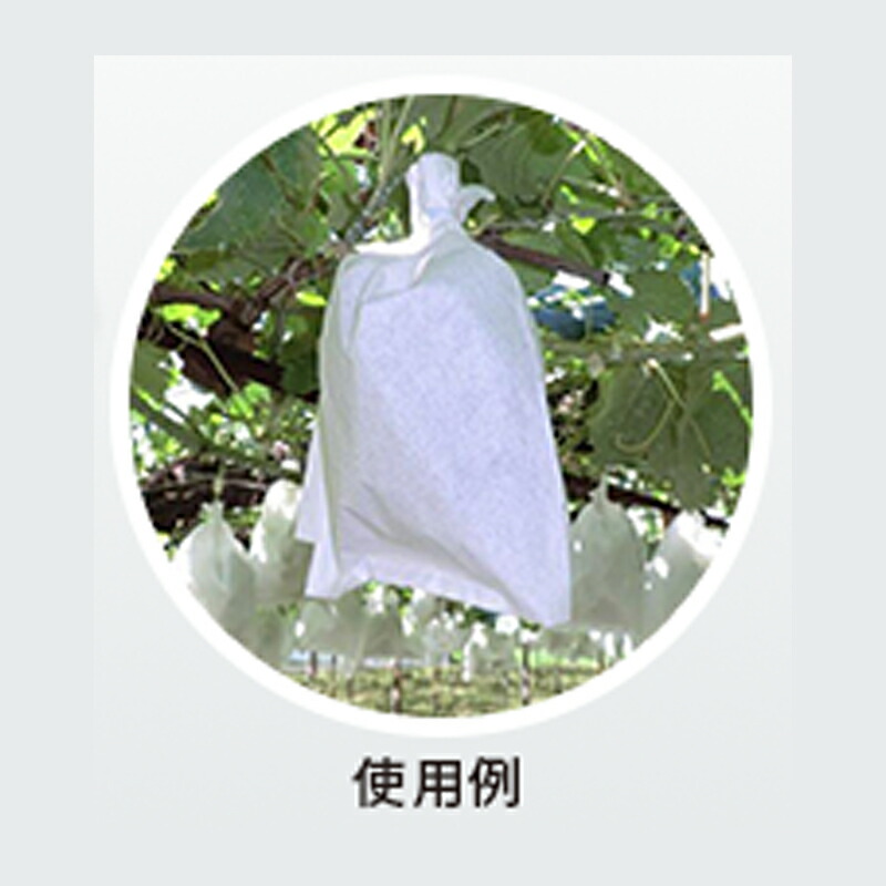 果実袋21120100枚×20袋中部農材大ブドウリンゴ収穫果樹農園園芸農業撥水防虫着色増進個人宅配送不可代引不可