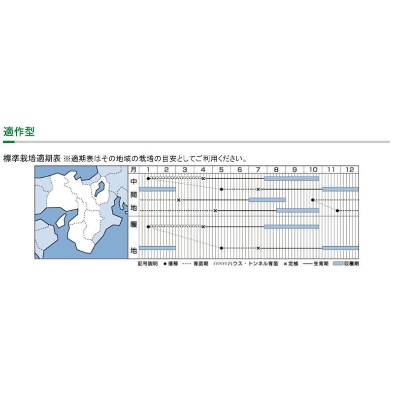 限定価格セール 種 ネギ ホワイトスター 8 0ml 3袋 タキイ種苗 春まき 種まき 播き 種子 野菜 畑 栽培 家庭菜園 品種 米s D メール便 Cmdb Md