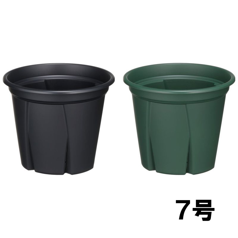 アップル 小鉢 5点セット 楽天市場】288個 鉢植え 根っこつよし 5号 アップルウェアー