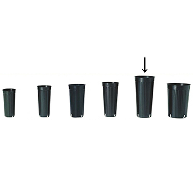 1000個 15cm 黒 TO ロングポット ( 果樹・植木用 ) ポリポット 東海化成 京G 送料無料 代引不可｜プラスワイズ業者用専門店